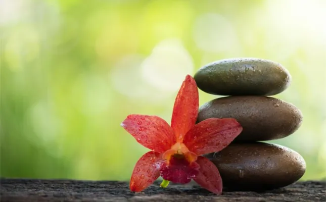 Pojęcie trzech dosz w Ajurwedzie