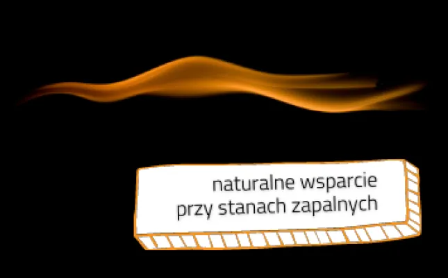 Choroby, za którymi stoją przewlekłe stany zapalne